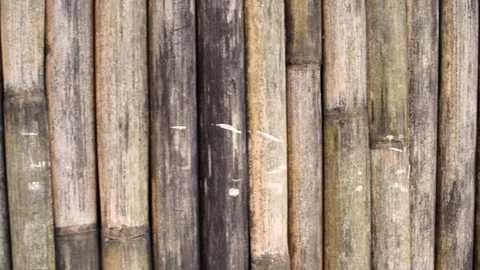 Bamboo wall Stock Footage 102956852