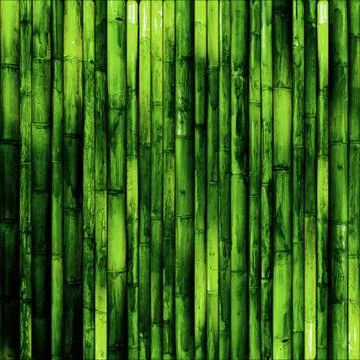 Bamboo wall image background Фото
