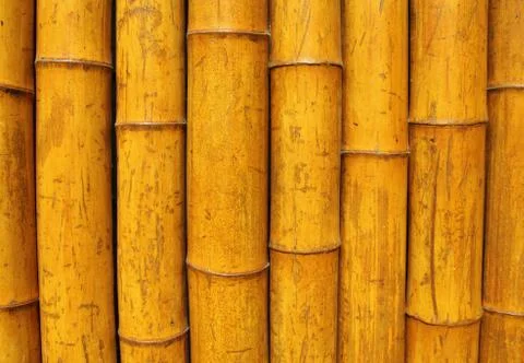Bamboo wall Stock Photos