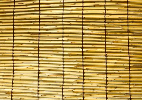 Bamboo wall. Stock Photos