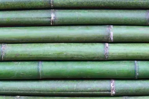 Bamboo wall Stock Photos