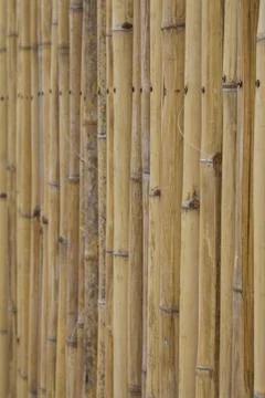 Bamboo wall Stock Photos