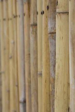 Bamboo wall Stock Photos