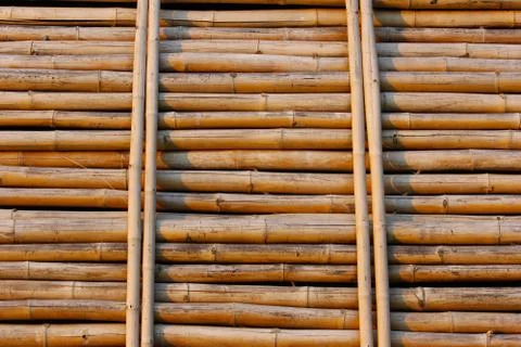 Bamboo wall. Stock Photos