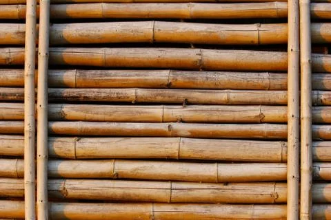 Bamboo wall. Stock Photos