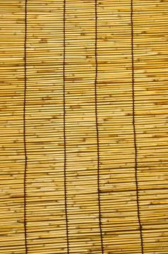 Bamboo wall. Stock Photos