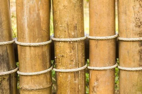 Bamboo wall Stock Photos