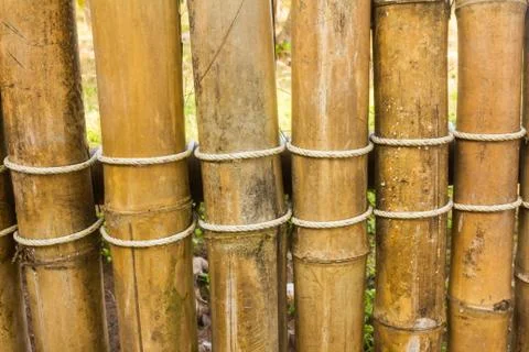 Bamboo wall Stock Photos