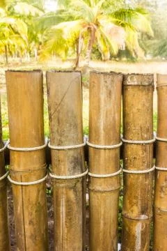 Bamboo wall Stock Photos