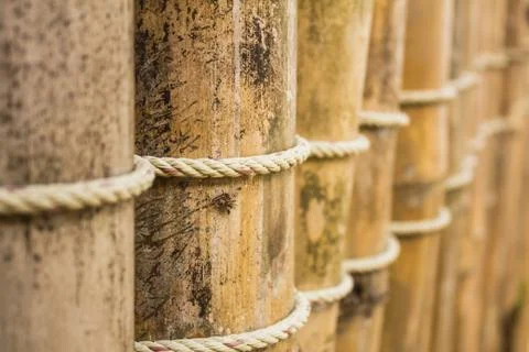 Bamboo wall Stock Photos