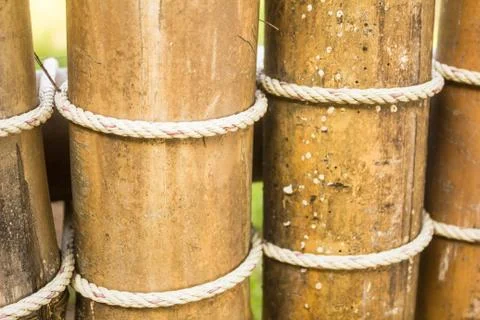 Bamboo wall Stock Photos