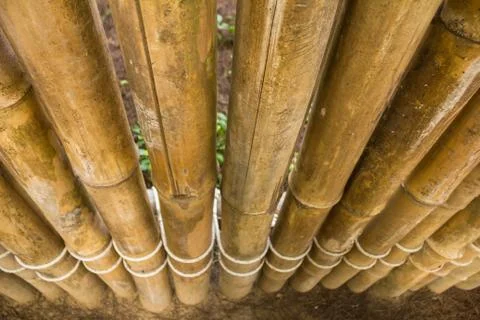 Bamboo wall Stock Photos