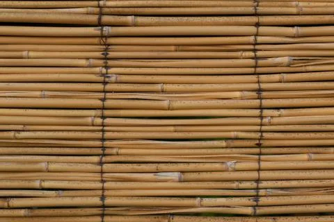 Bamboo wall Stock Photos