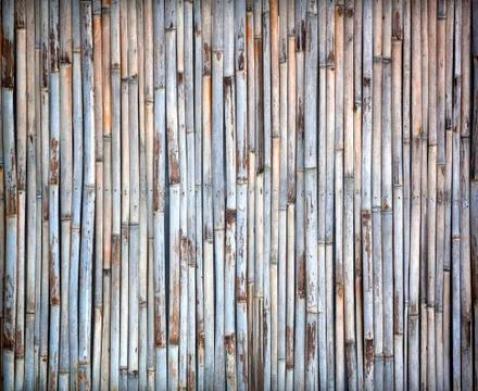 Bamboo wall Stock Photos