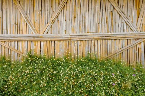Bamboo Wall Stock Photos