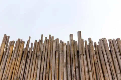 Bamboo Wall Stock Photos