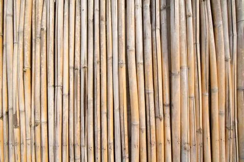 Bamboo Wall Stock Photos