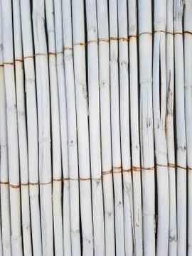 Bamboo wall Foto stock
