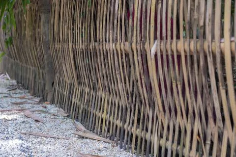 A bamboo wall Stock Photos