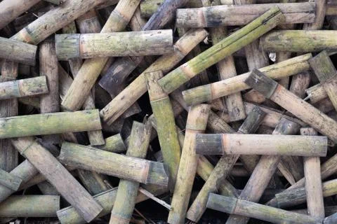 A bamboo wall Foto stock