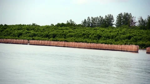 Bamboo wall in the sea Vidéo 67866863