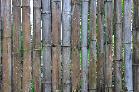 Bamboo wall texture 2 Stock Photos