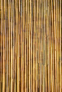 Bamboo wall texture background Foto stock
