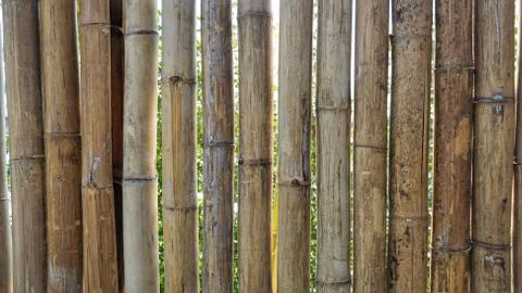 Bamboo wall texture background Stock Photos