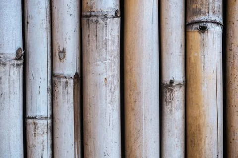 Bamboo wall texture background. Stock Photos