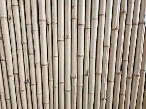 Bamboo wall texture background vertical slats Stock Photos