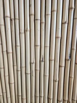 Bamboo wall texture background vertical slats Stock Photos