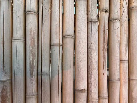 Bamboo Wall Texture Natural Pattern Background Stock Photos