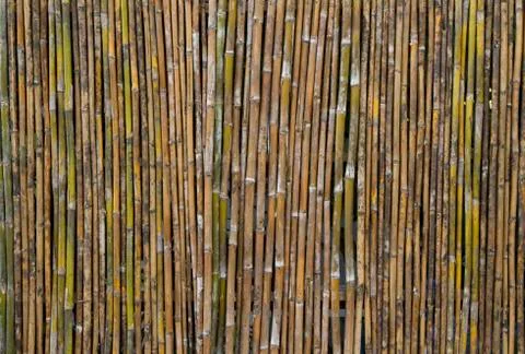 Bamboo wall texture or background Stock Photos