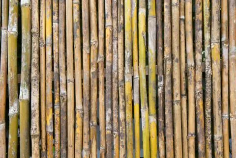 Bamboo wall texture or background Stock-Fotos