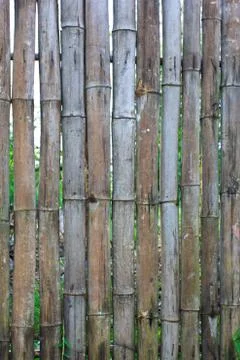 Bamboo wall texture 스톡 사진