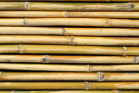 Bamboo wall texture Stock Photos