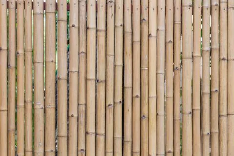 Bamboo wall texture. Stock Photos