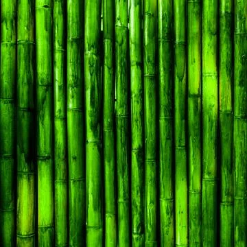 Bamboo wall texture Stock-Fotos
