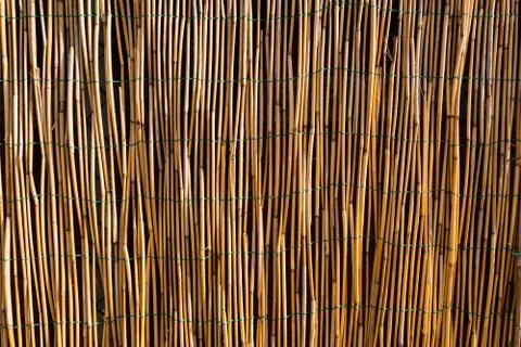 Bamboo wall texture. Foto stock