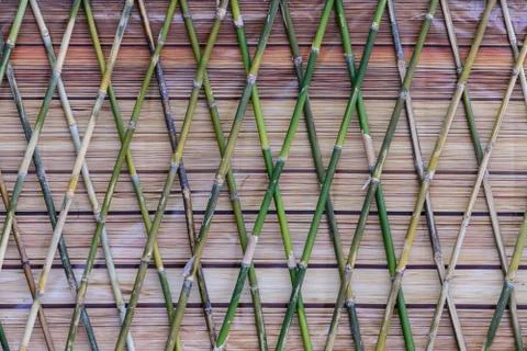Bamboo wall texture use for background. Stock Photos