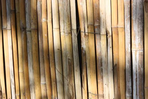 Bamboo wall textured Stock Photos