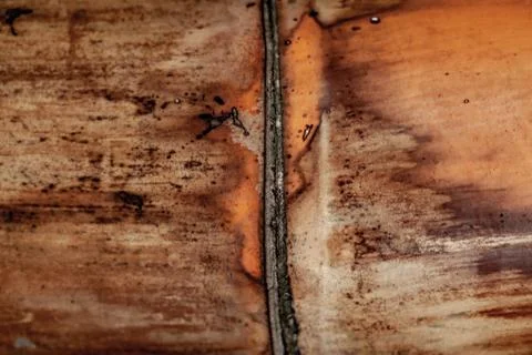 Bamboo wall/background Stock-Fotos