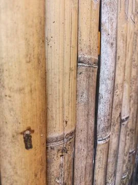 Bamboo walls that are split and arranged neatly. Foto stock