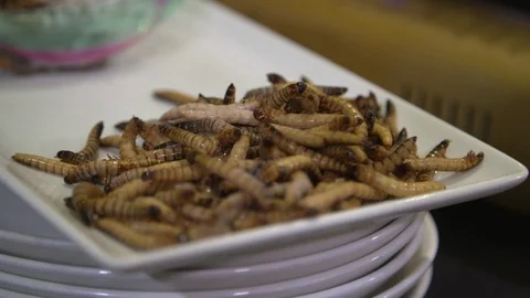 Bamboo Worm on dish Stock Footage 93576543