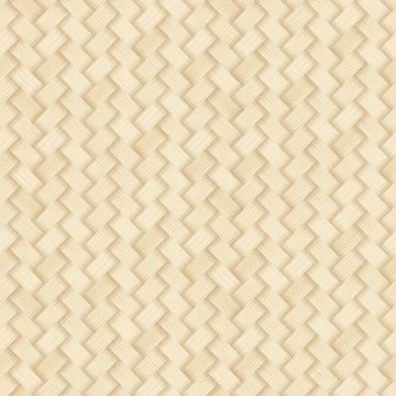 Bamboo woven pattern Stock Illustration