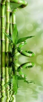 Bamboos on a green background Stock Photos