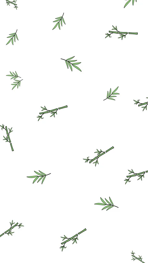 Bamboos Pattern on White Stock Footage 273908081