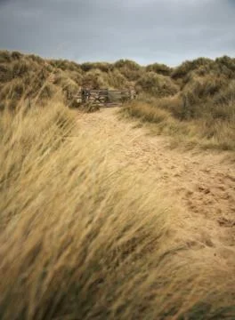 Bamburgh beach path Foto stock