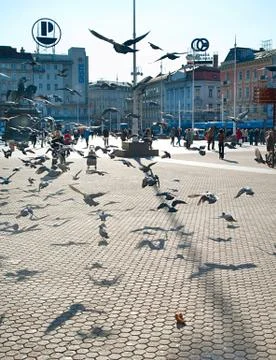 Ban jelacic squar Stock Photos