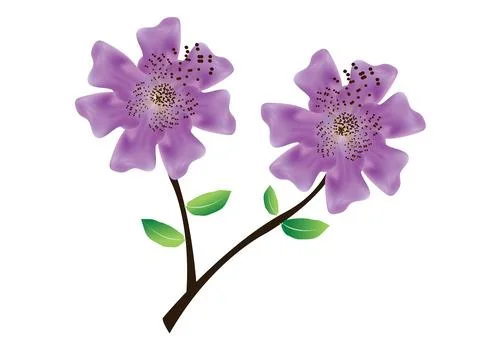 This is banaba flower vector design Stock Illustration